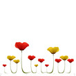 Coquelicots Jaunes Rouges