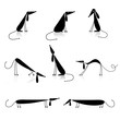 Funny black dogs silhouette, collection for your design