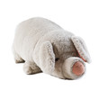 cochon