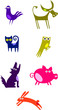 Funny animals