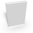 ebook vierge en perspective