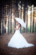 beautiful bride portrait with red umbrella beautiful bride portrait with red umbrella