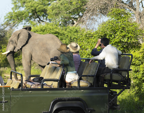 Photo: Group of tourists on safari watching elephant Group of tourists on safari watching elephant