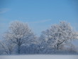 Foto: Winter in Ostholstein Winter in Ostholstein