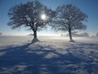 Winter in Ostholstein