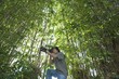 Photographer adjusts camera lens in bamboo forest, low angle view