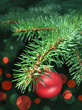 Beautiful christmas decorations