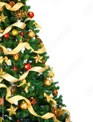 Foto: Christmas tree Christmas tree