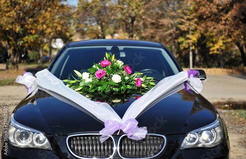 Wedding  Flowers on Wedding Flowers On Car    Stanete Alina  28152380   Voir Le Portfolio