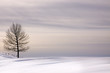 Zen landscape
