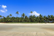 playa tropical en el estado de goa en india