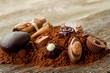 chocolate candy with ingredients-cioccolatini e ingredienti