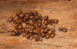 Coffee beans on the wood Coffee beans on the wood
