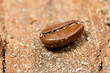 One big coffee bean One big coffee bean