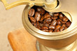 Coffee beans in the coffee grinder Coffee beans in the coffee grinder