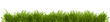 Wide image of a fresh spring grass