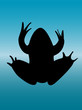 frog silhouette - vector frog silhouette - vector