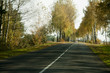 autumn autumn