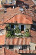 Lucca - terrasse