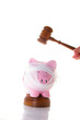 bandaged piggy bank with legal gavel bandaged piggy bank with legal gavel