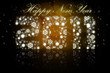 Illustration: New Years 2011 New Years 2011
