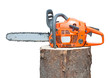 Photo: chain saw on log chain saw on log