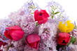 Beautiful spring bouquet