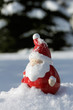Santa Claus in winter