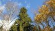 Season change.