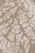 Illustration: cross-grained wood cross-grained wood