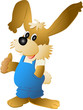 hase