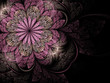 Soft pink fractal flower Soft pink fractal flower