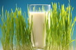 Foto: verre de lait verre de lait