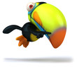 Toucan Toucan