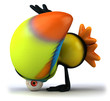 Toucan Toucan