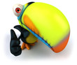 Toucan