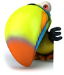 Toucan Toucan
