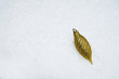 Gold bauble on snow