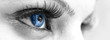 Blue Eye - Beautiful, Feminine Blue Eye - Beautiful, Feminine