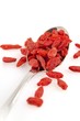 goji berries in a spoon goji berries in a spoon