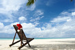 Tropical christmas