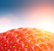 Curvy strawberry surface macro closeup