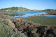 Laguna de Bages