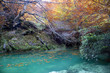 Colores de otoño Colores de otoño