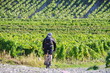 découverte en vtt