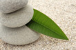 Petite décoration zen de galets ronds sur sable blanc