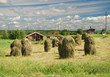 Finnish country ladscape with vintage haystackes Finnish country ladscape with vintage haystackes