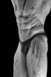force musclé