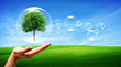 Tree in a bubble