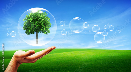 Photo: Tree in a bubble Tree in a bubble